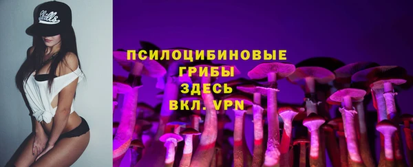 ешки Волоколамск