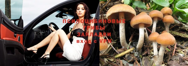 СК Володарск